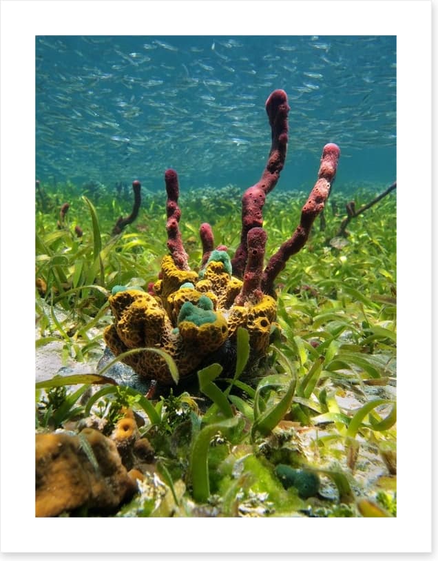 Underwater