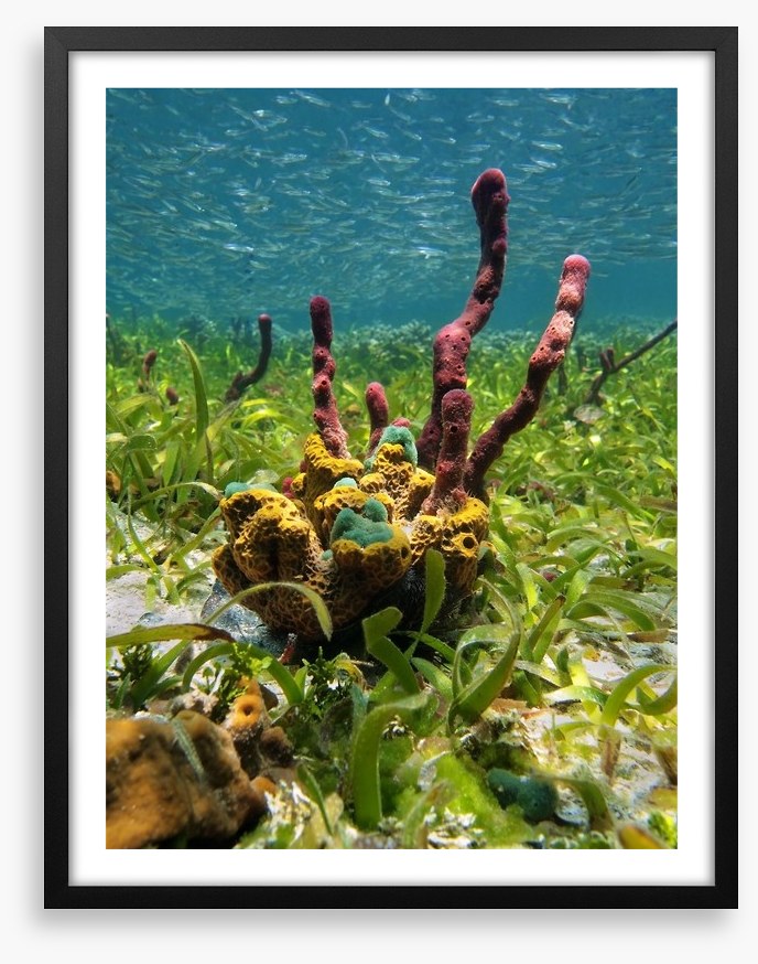 Underwater