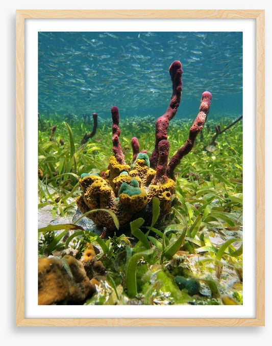 Underwater