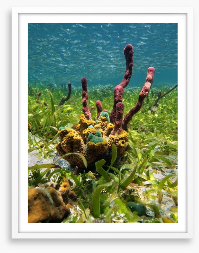 Underwater