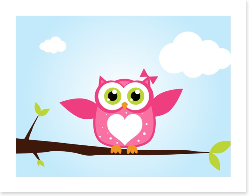 Owls