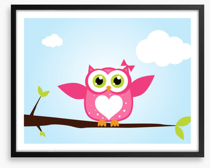 Owls