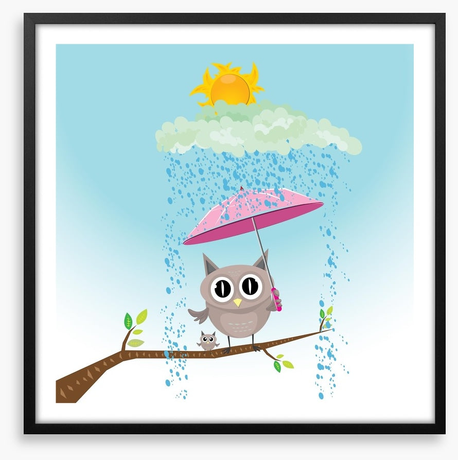 Owls