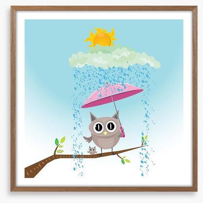 Owls