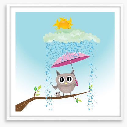 Owls