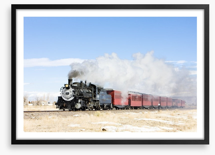 Narrow gauge steam train