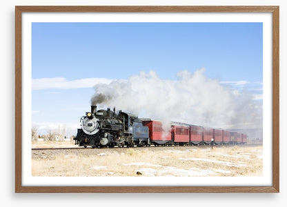Narrow gauge steam train