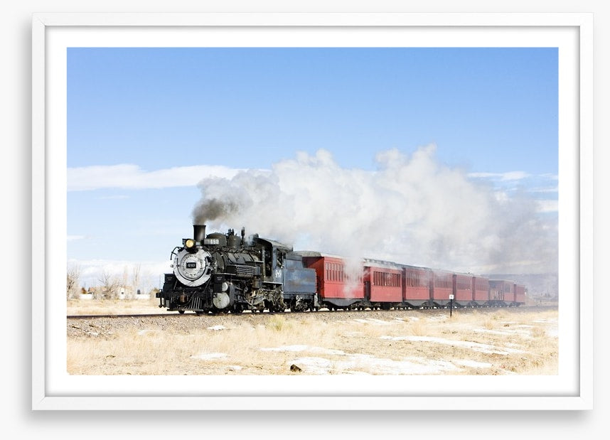 Narrow gauge steam train