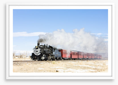 Narrow gauge steam train