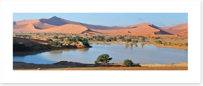 Desert