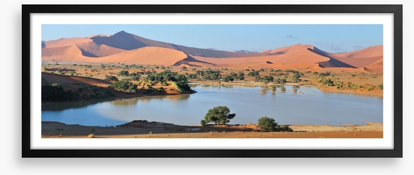 Desert
