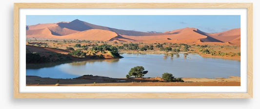 Desert