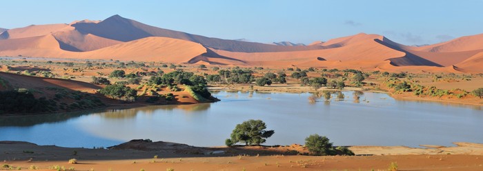 Desert