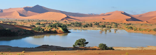 Desert