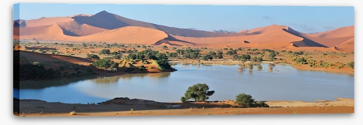 Desert