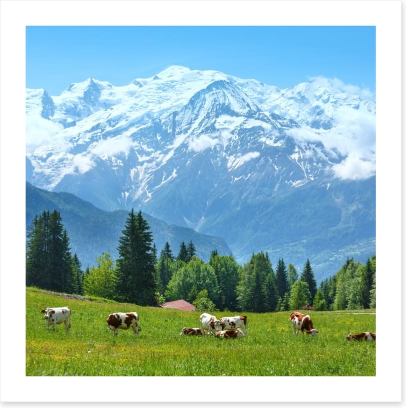 Below Mont Blanc
