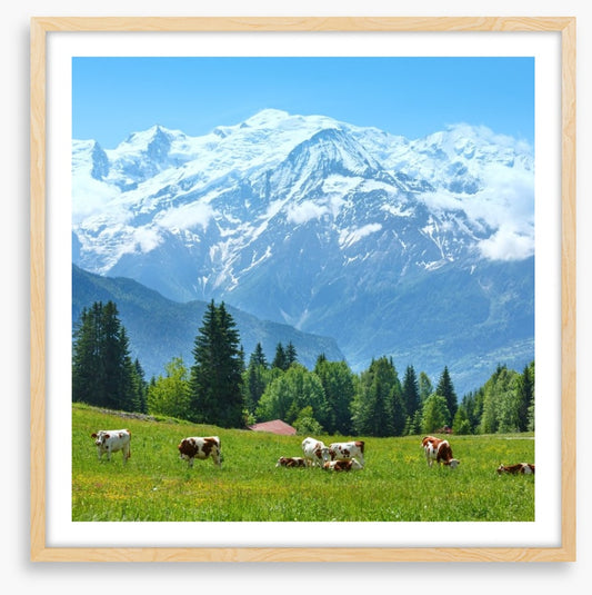 Below Mont Blanc