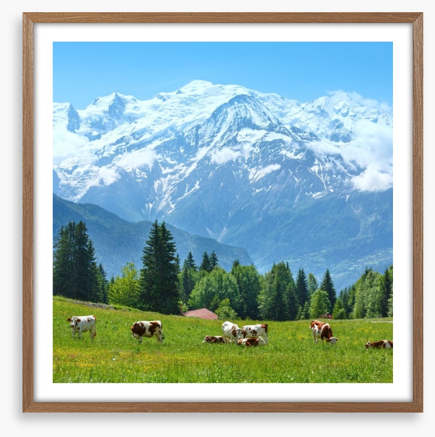 Below Mont Blanc