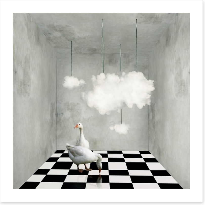 The room with clouds and ducks