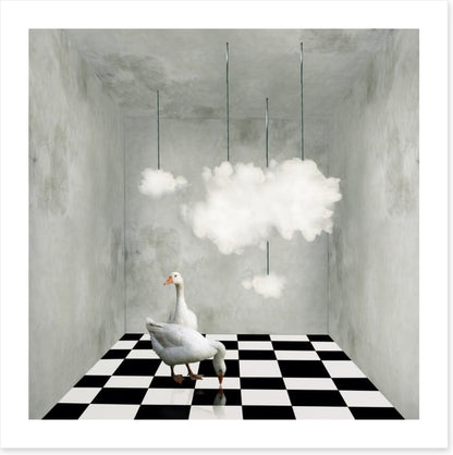 The room with clouds and ducks