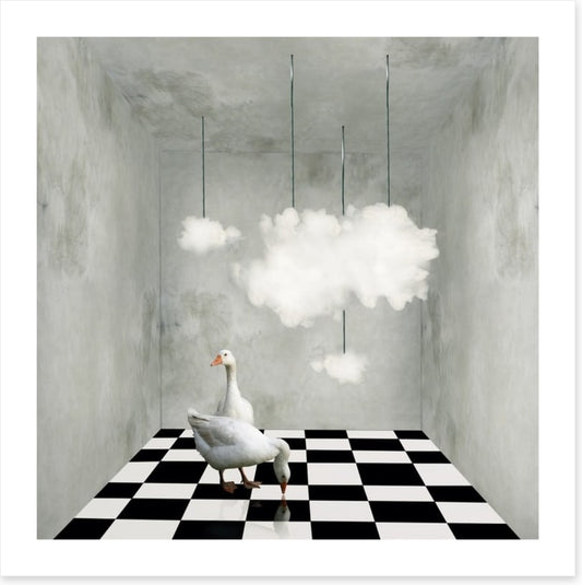 The room with clouds and ducks