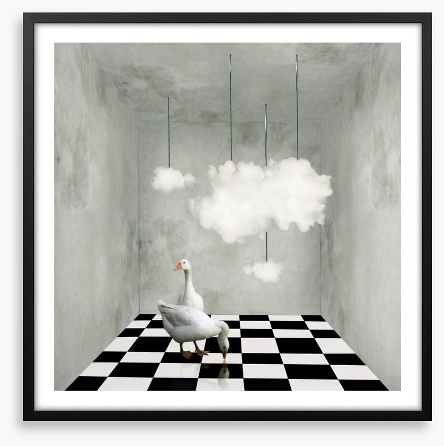 The room with clouds and ducks