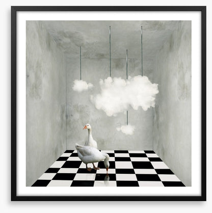 The room with clouds and ducks