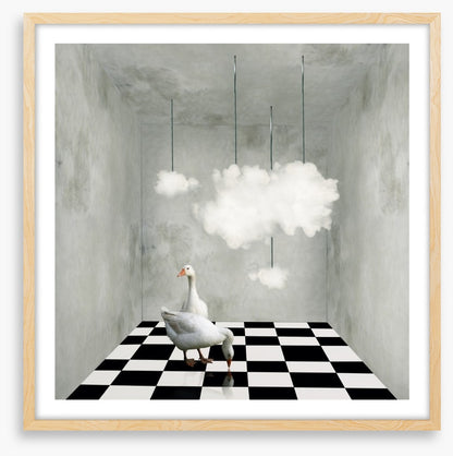 The room with clouds and ducks
