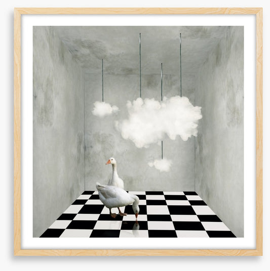 The room with clouds and ducks