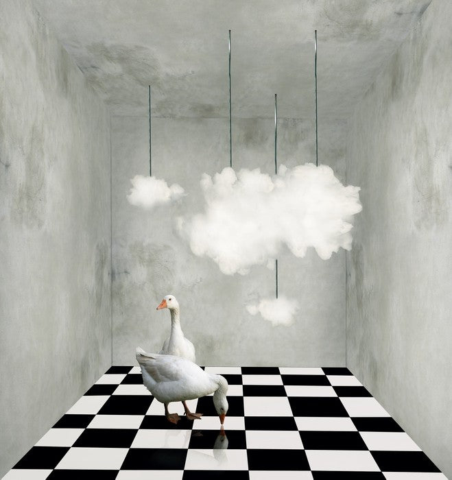 The room with clouds and ducks