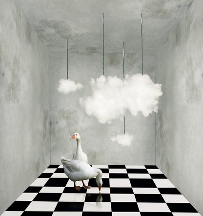 The room with clouds and ducks