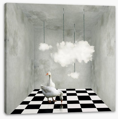 The room with clouds and ducks