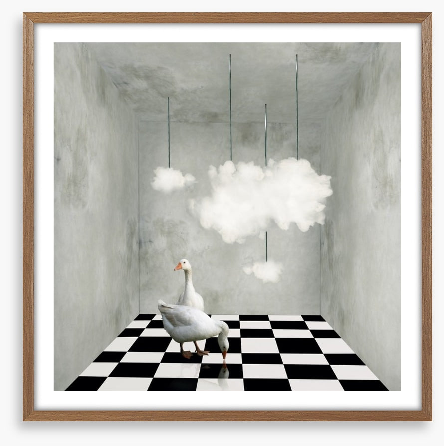 The room with clouds and ducks