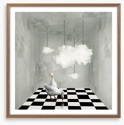 The room with clouds and ducks