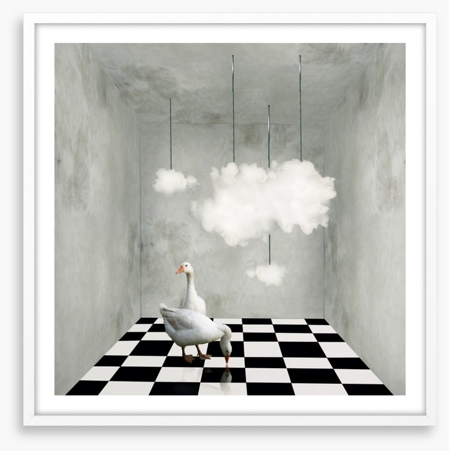 The room with clouds and ducks