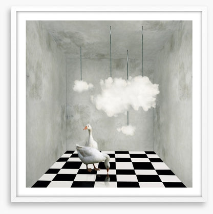 The room with clouds and ducks