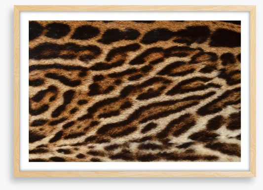 Animal Print