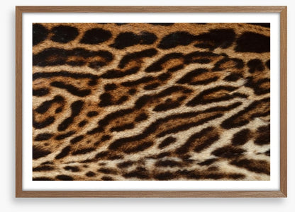 Animal Print
