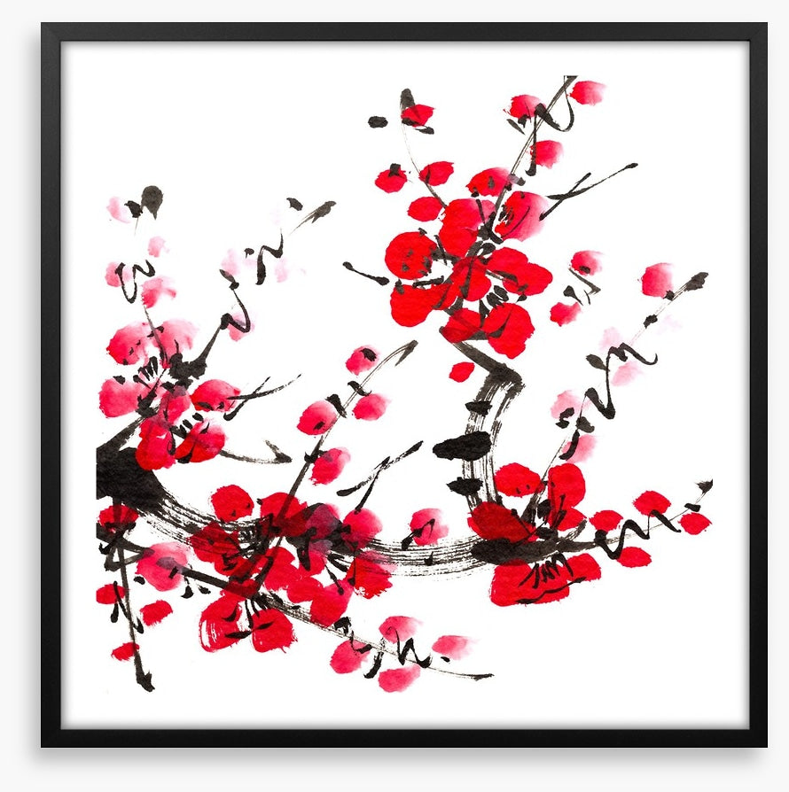 Plum blossom