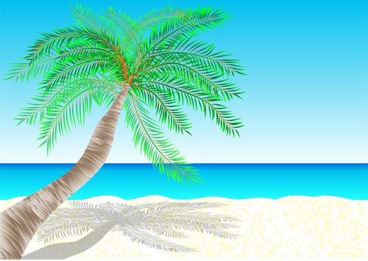 Beach House
