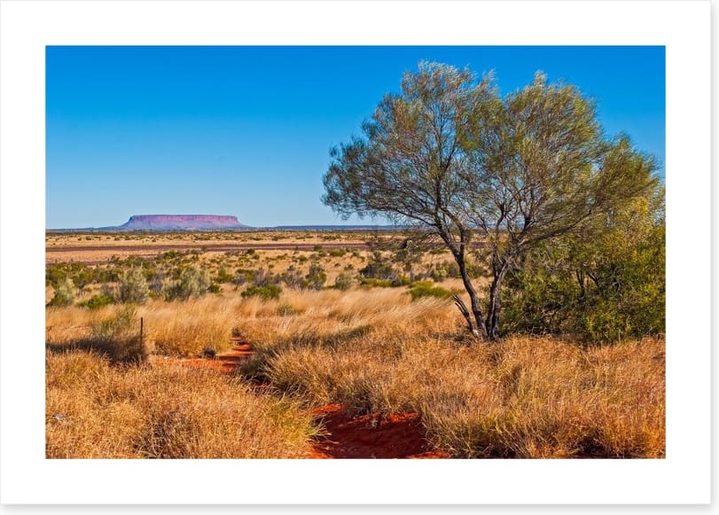 The trail to Uluru