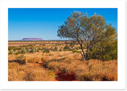 The trail to Uluru