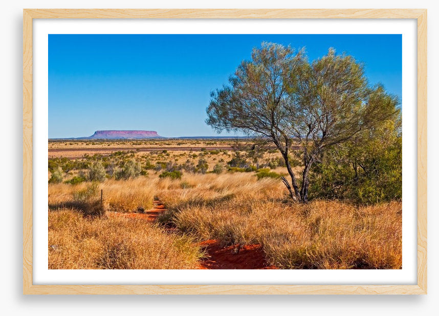 The trail to Uluru