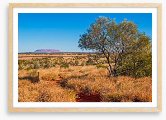 The trail to Uluru
