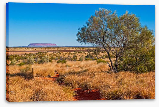 The trail to Uluru