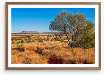 The trail to Uluru