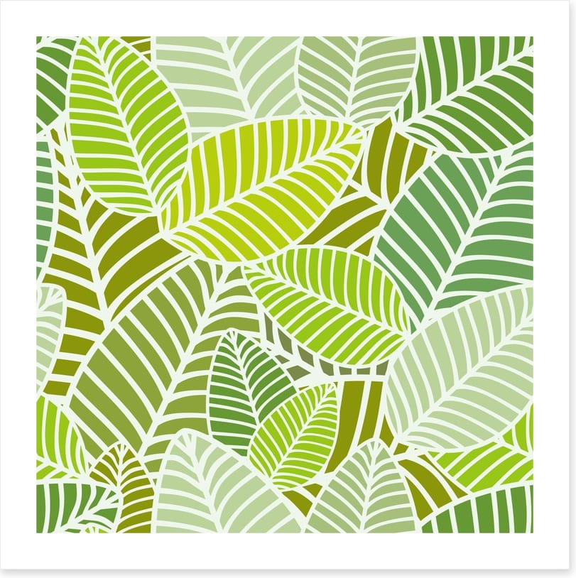 Green leaves