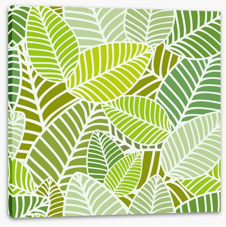 Green leaves