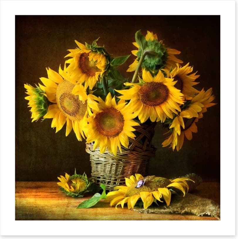 Sunflowers
