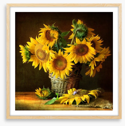 Sunflowers